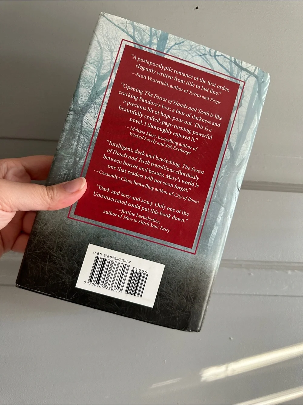 The Forest of Hands and Teeth by Carrie Ryan